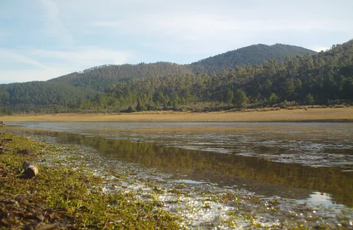 Imagen de Las Cabañas de Mestas