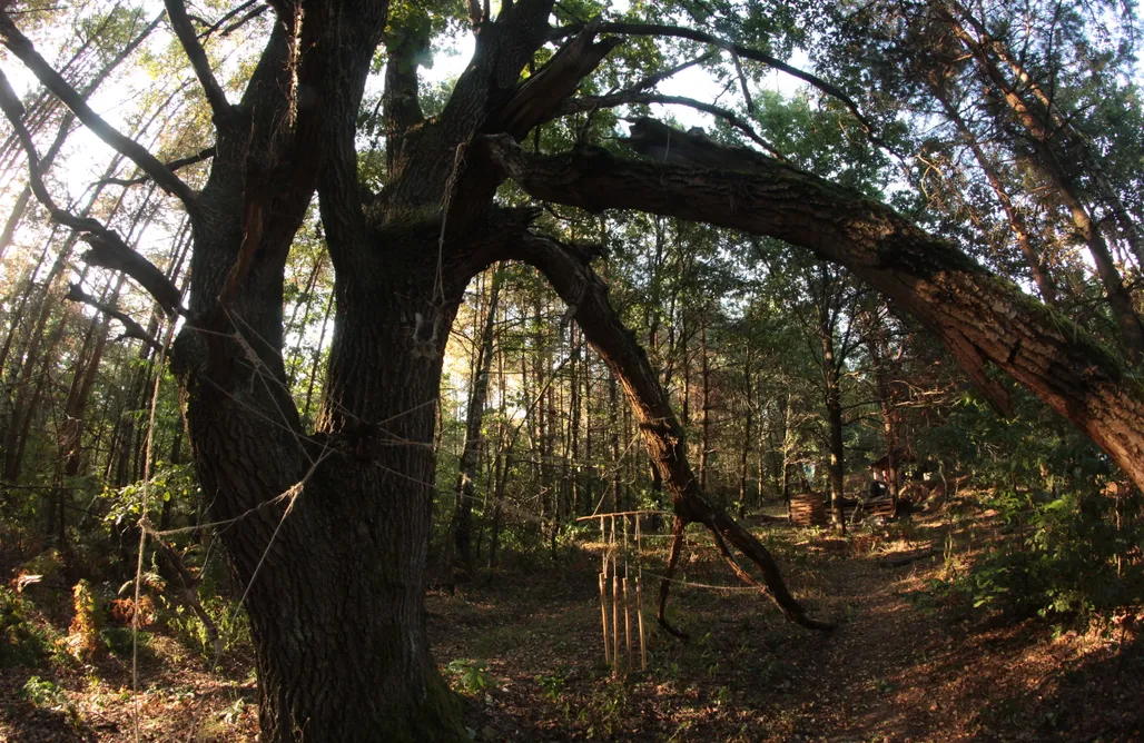 Alloggi AlohaCamp Konopny Shelter 1