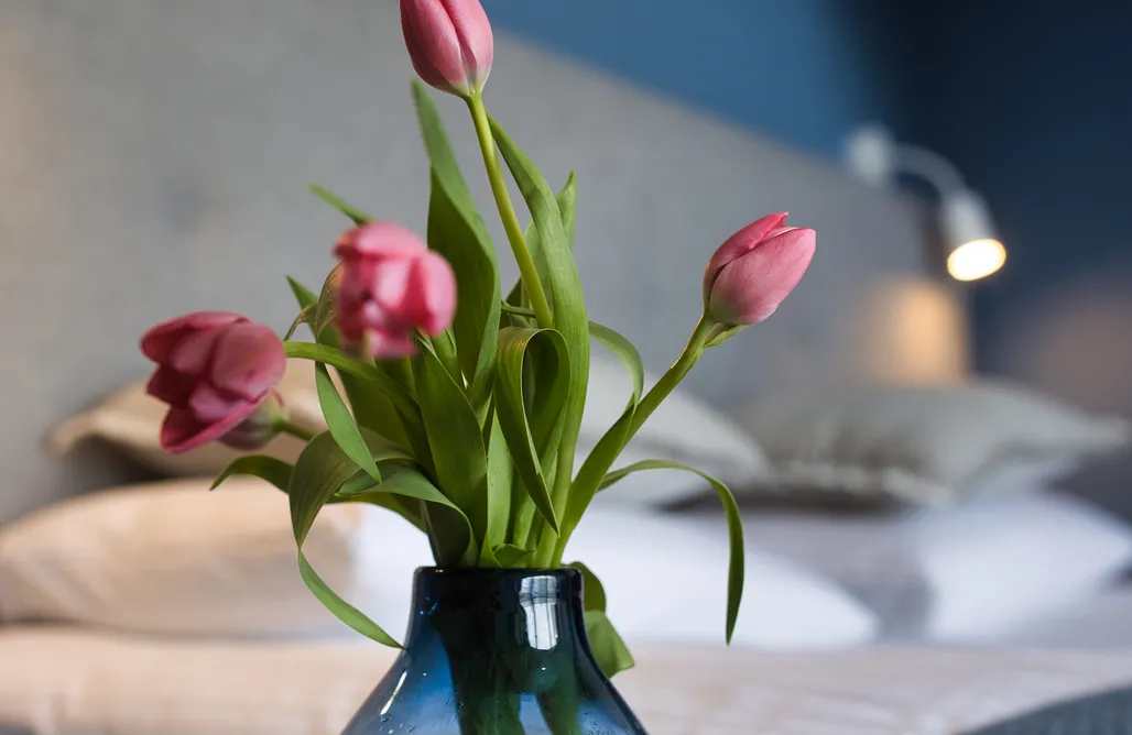 AlohaCamp Pokój 2 os. z balkonem 1