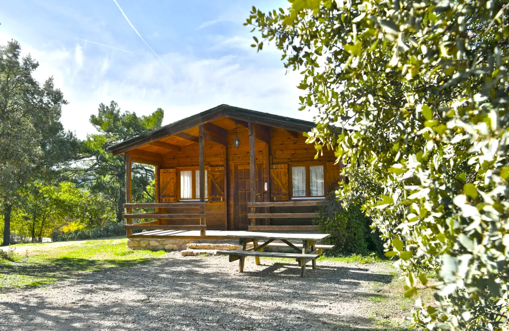 AlohaCamp Pinosa y pinosilla (Grupos) 4