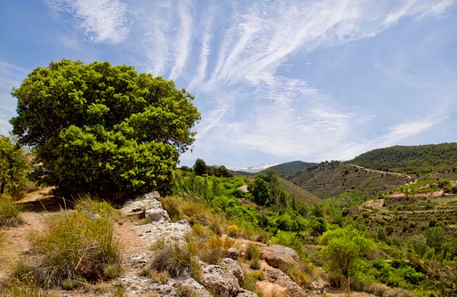 Imagen de Apartamenos Rurales Balzain