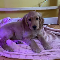 Julita propietario nazwa nie publikowac