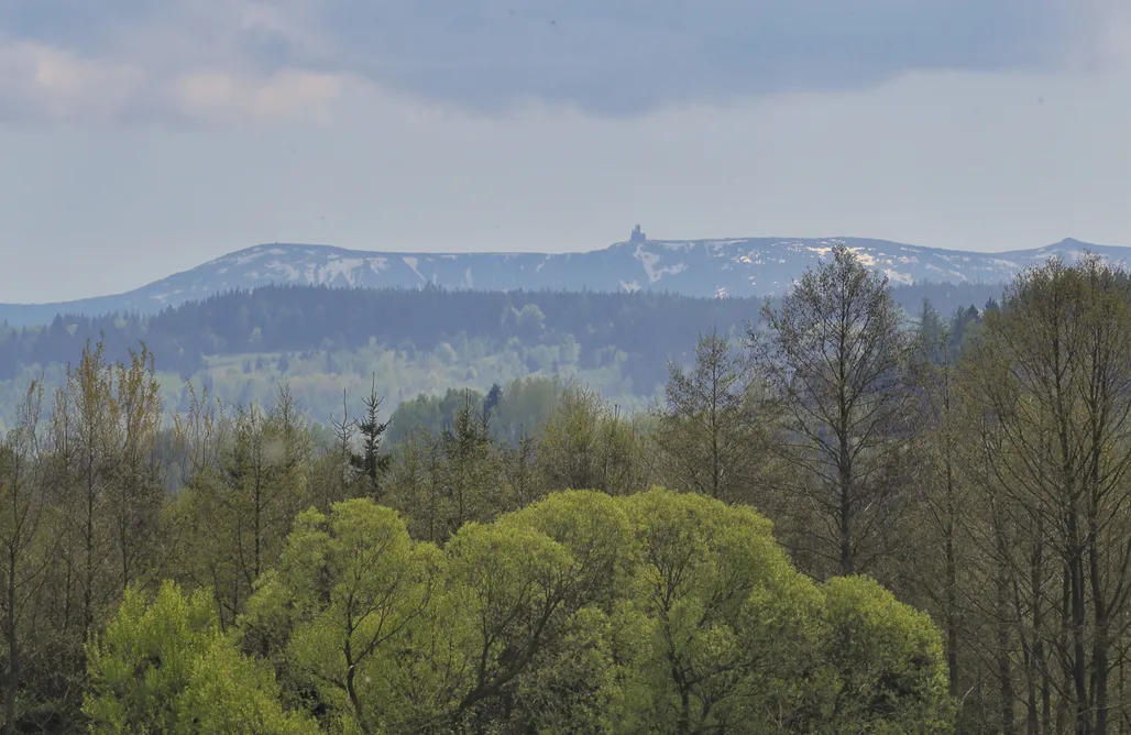 AlohaCamp Mały Domek  1