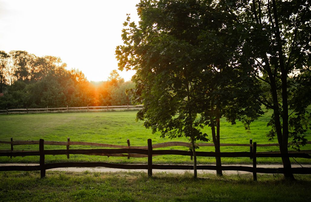 AlohaCamp Kamper plac 2