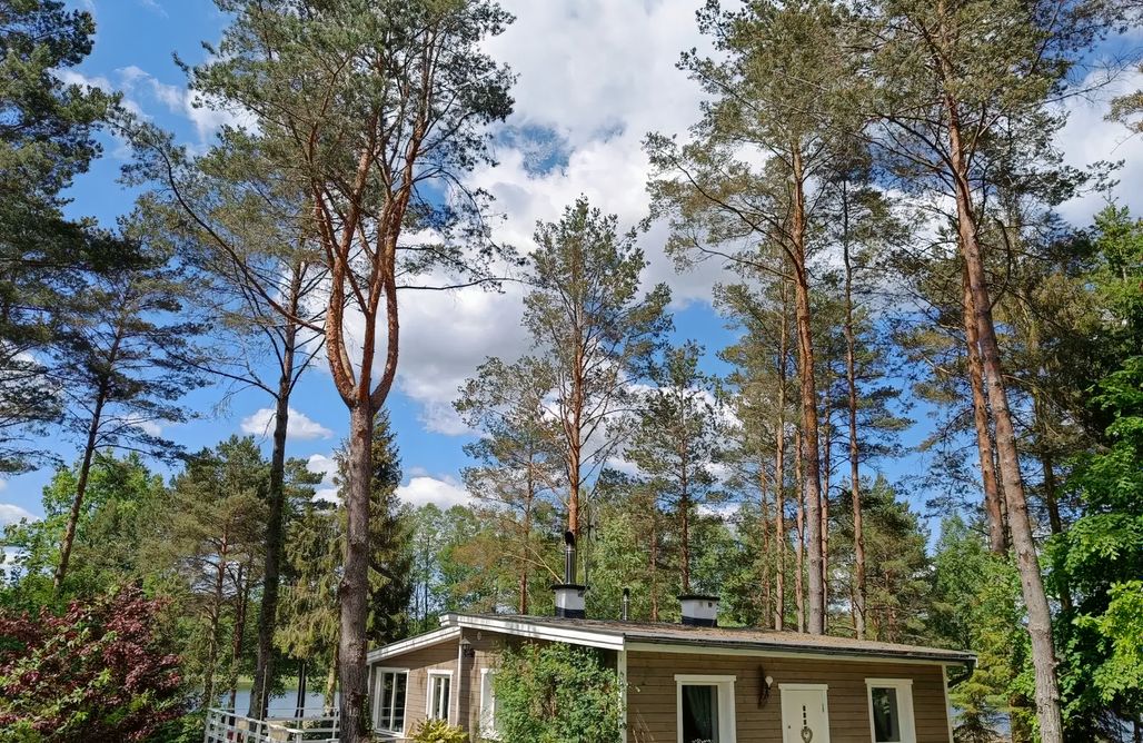 Sosnowy Azyl AlohaCamp