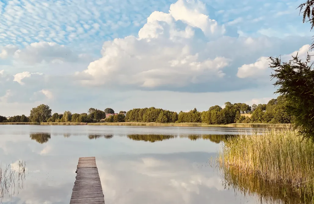 AlohaCamp Cichosza 1