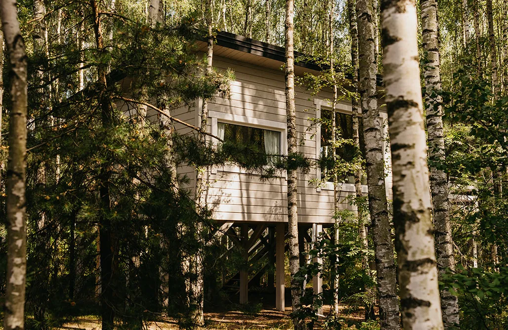 Konstancin-Jeziorna noclegi Domki w drzewach Siedlisko Polanka 3