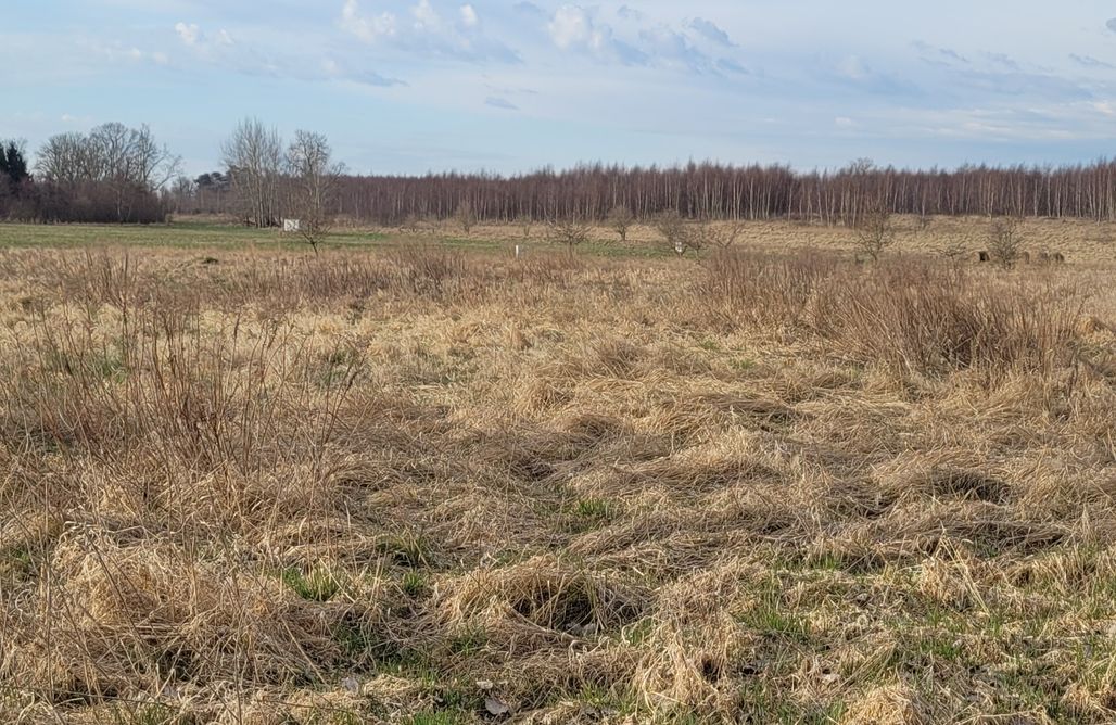 AlohaCamp Ostoja spokoju 2