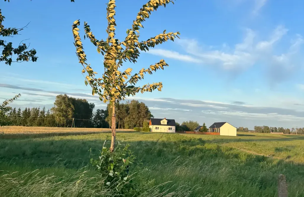 alojamientos AlohaCamp Dom na końcu Świata 5