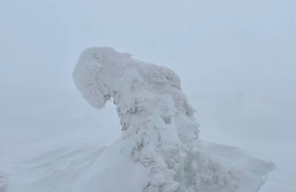 noclegi AlohaCamp Izerskie Miejsce 1
