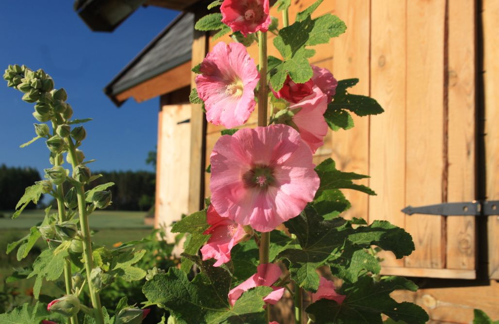 AlohaCamp Spichlerz  1