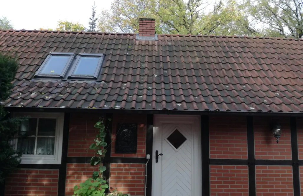 Ferienhaus Nordsee mit Hund Ferienhaus in Rumke 1