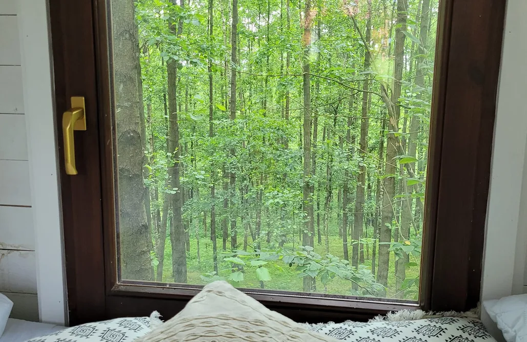 AlohaCamp Leśne Spanie  3