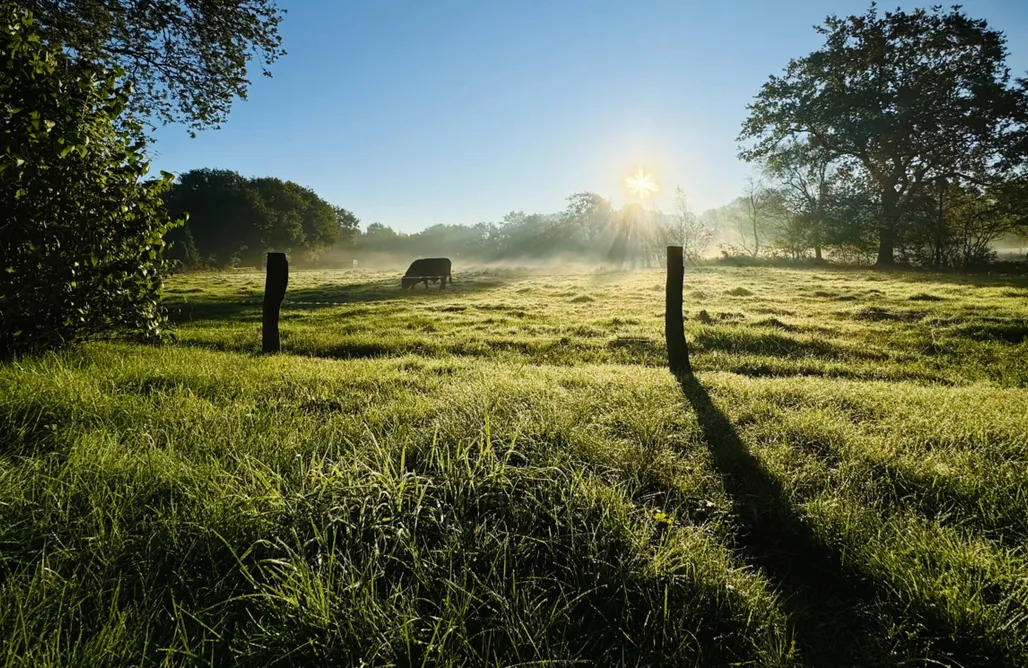 Casa Vacanza Germania „Waldhaus an der Wiese“ mit Sauna+Holzofen+Wallbox 3