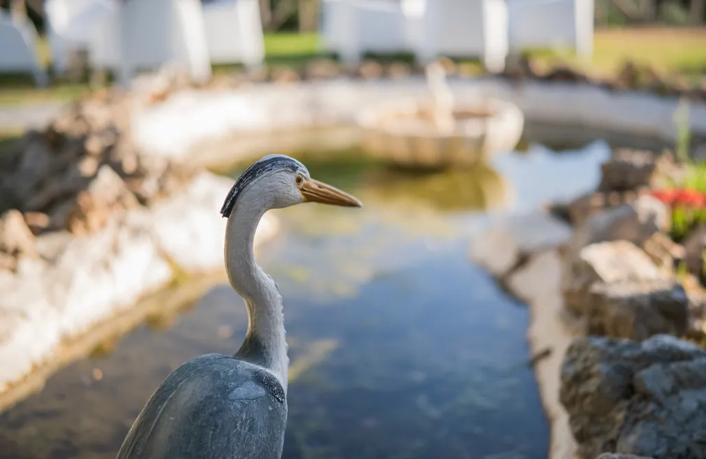 AlohaCamp accommodation Alquería de los Lentos - Habitacion con cocina 5