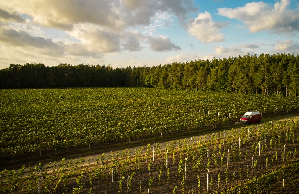 Winiarnia nad Jeziorem Miejsce kamperowe - Winnica Dwórzno 2