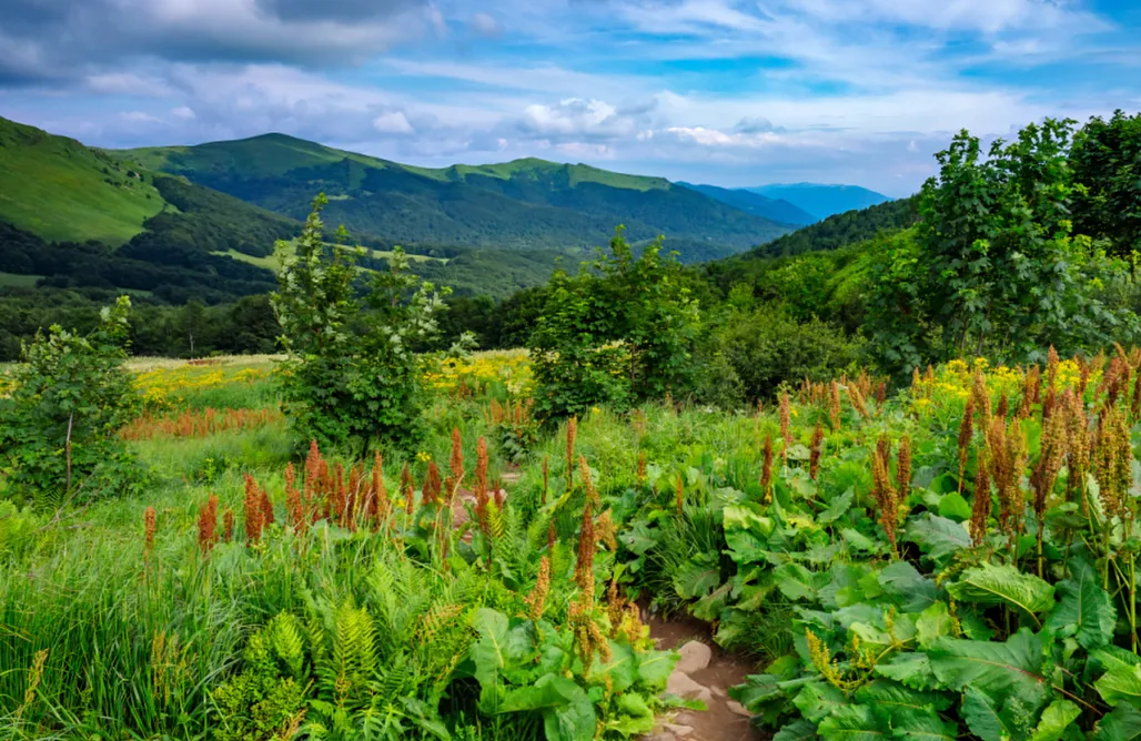 noclegi AlohaCamp Domki nad Solina w Bieszczadach 4
