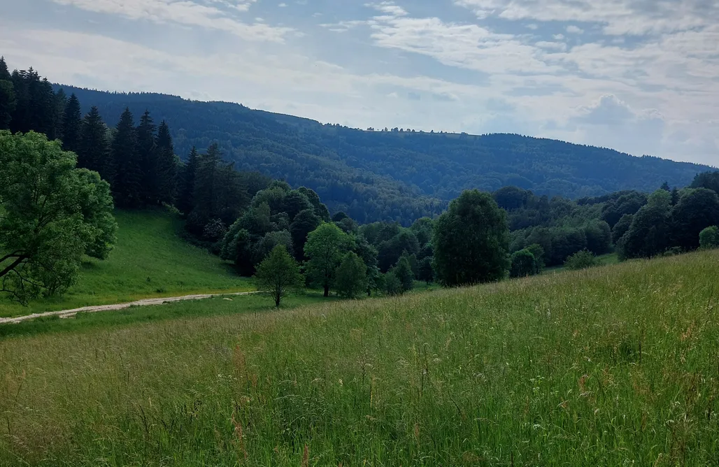 AlohaCamp Jurta sudecka u leśniczki 1
