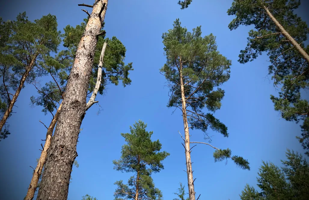 Ekskluzywny Weekend dla Dwojga Makosieje Modern House - 30 m od jeziora 1