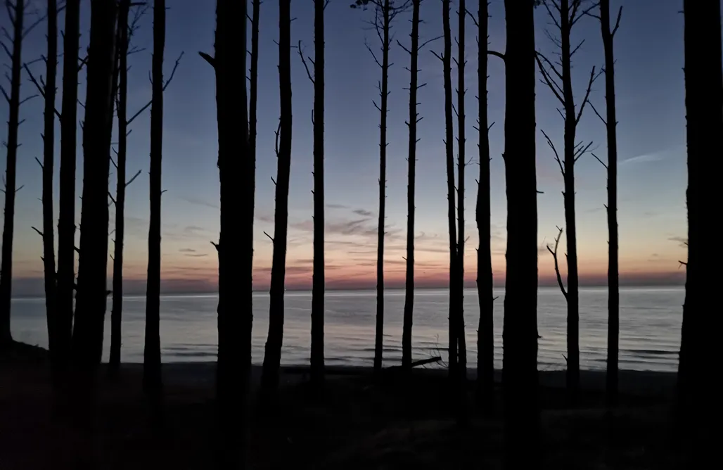 Wakacje nad Morzem Domki w naturze 1