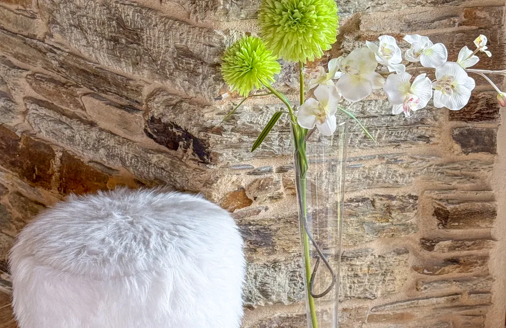 AlohaCamp El Cabozo 4