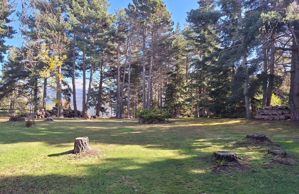 Hébergement AlohaCamp Refuge dans les bois 4