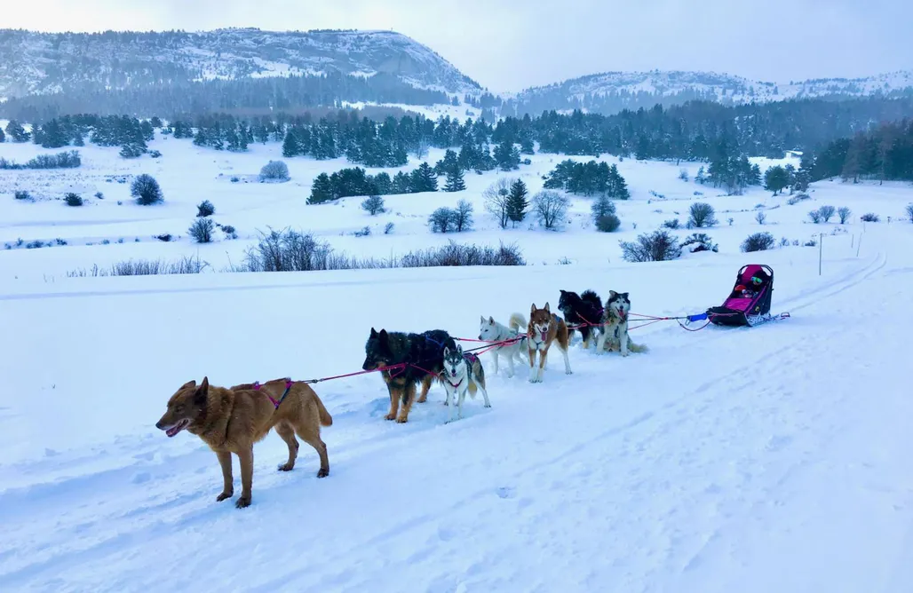 Alloggio AlohaCamp Chalet Pierra 4