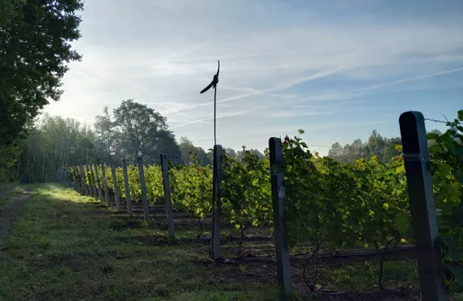 Zdjęcie obiektu Miejsce kamperowe - Winnica Rajska