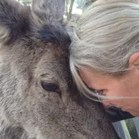Anna gospodarz Miejsce kamperowe i namiotowe - Camp Colorado - Rancho Colorado
