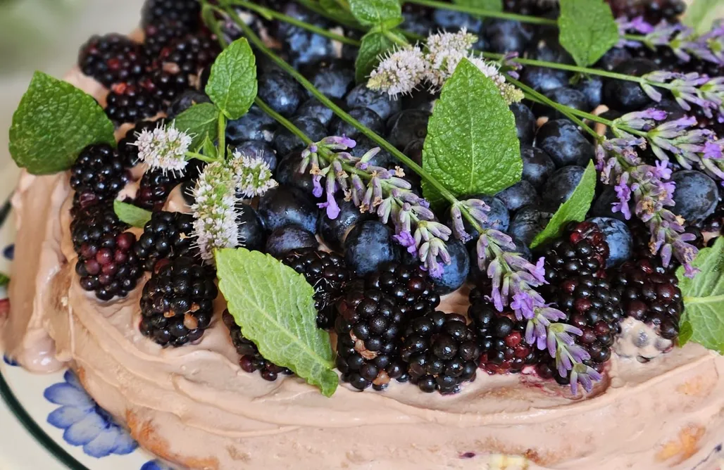 AlohaCamp Sobótkowe Zacisze 1