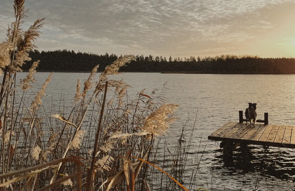 AlohaCamp Dom Północ 1