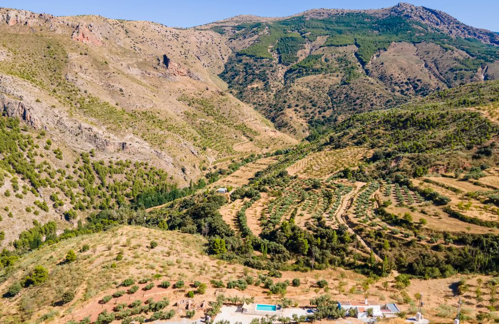 Cortijo El Chopo Almería AlohaCamp