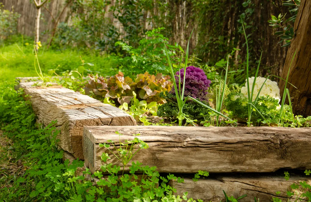 noclegi AlohaCamp La Cabaña 4