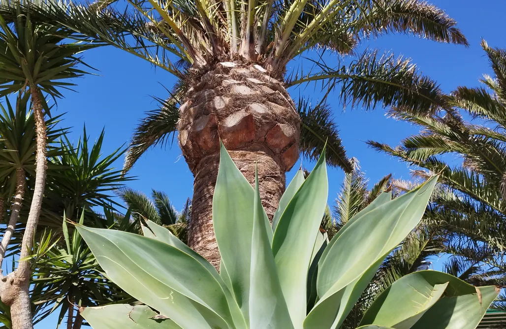 alojamientos AlohaCamp Casa del Erizo 5