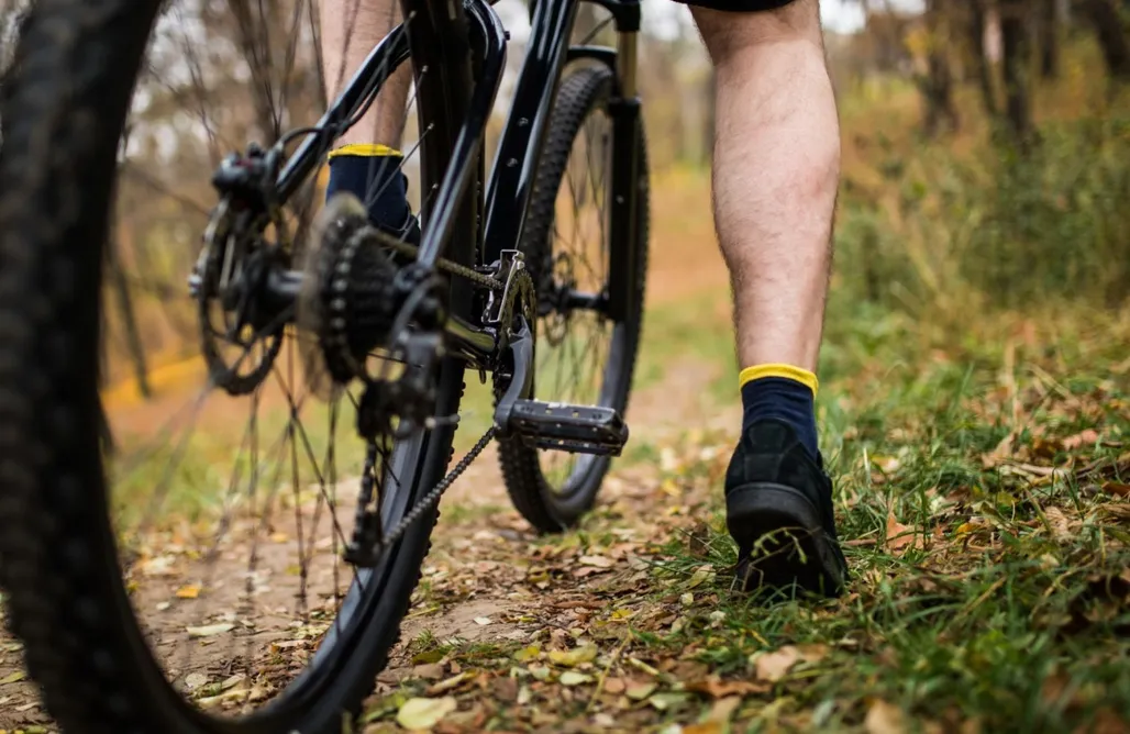 alojamientos AlohaCamp O loureiro 1