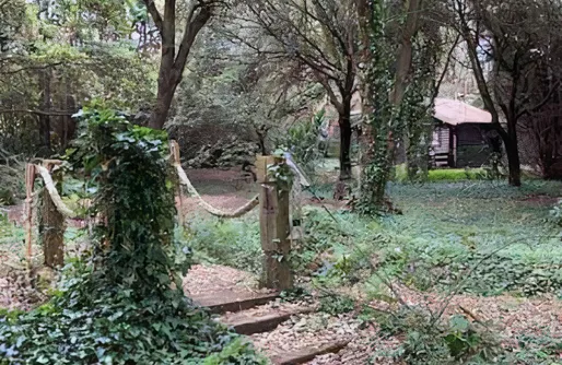 Imagen de Cabaña de ensueño en el bosque y junto al mar