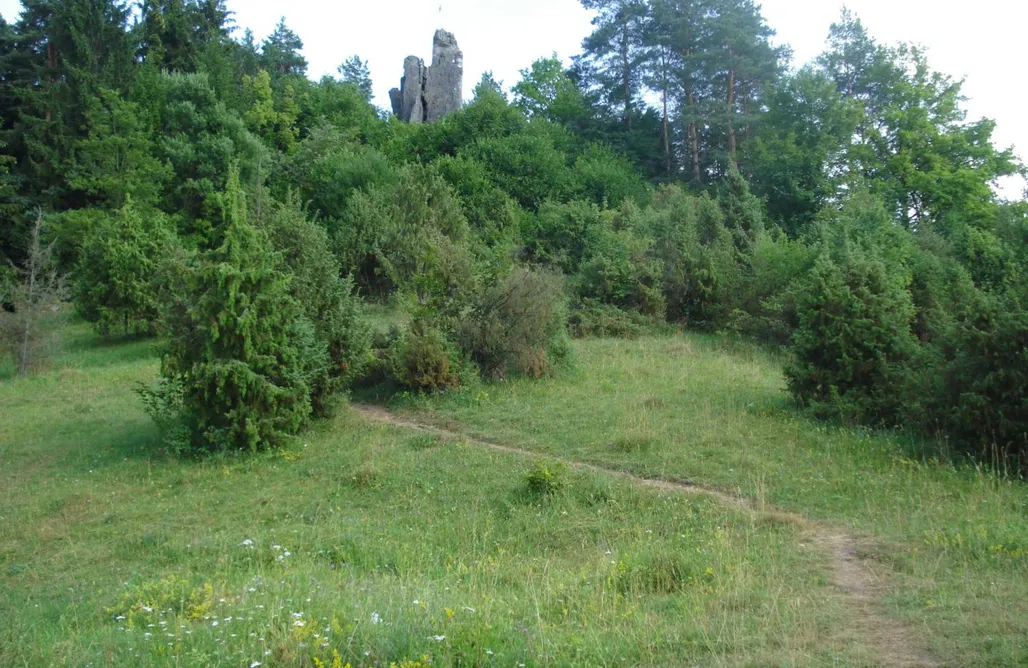 AlohaCamp accommodation Ferienhof Hohe 4