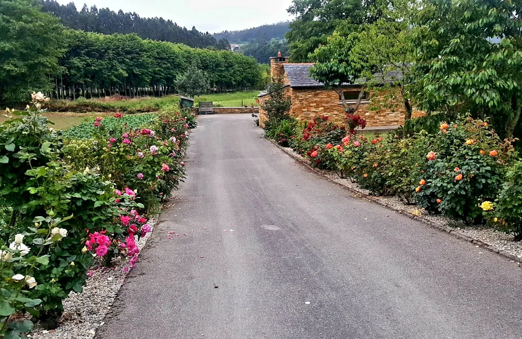 Apartamentos Playa Casetón Do Forno 2