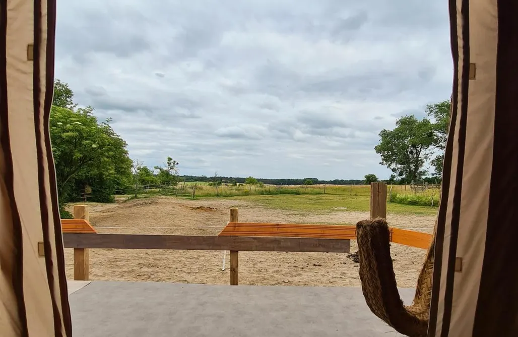 AlohaCamp Luxuszelt in der Pferdeherde 4