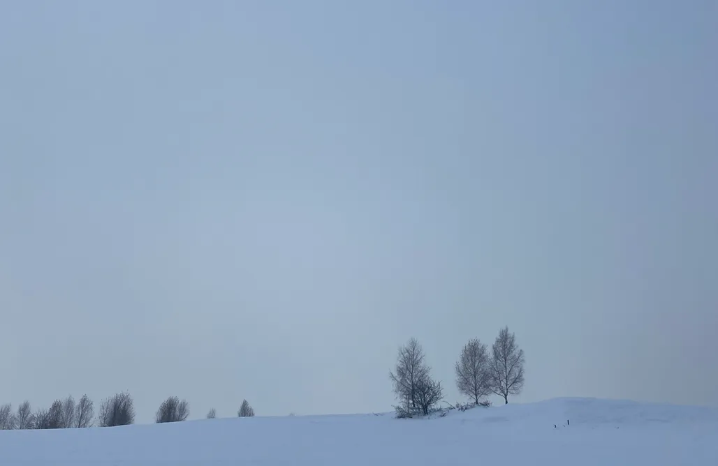 noclegi AlohaCamp Dom na Wzgórzu Paproć 1