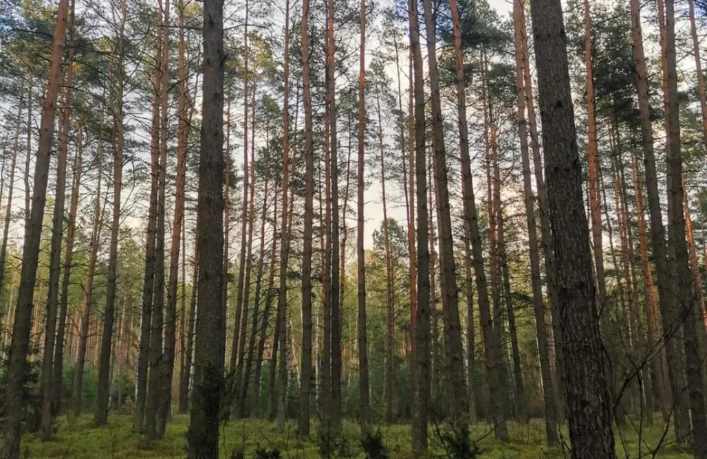 noclegi AlohaCamp Pensjonat Zakątek 4
