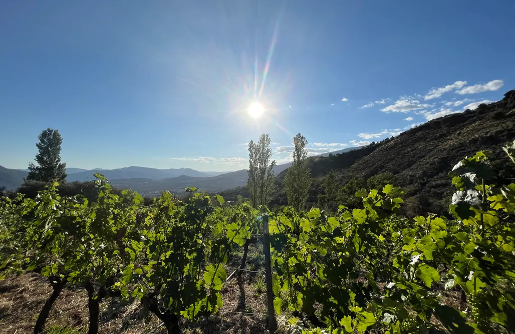 AlohaCamp accommodation Cortijo el Cerrillo 1