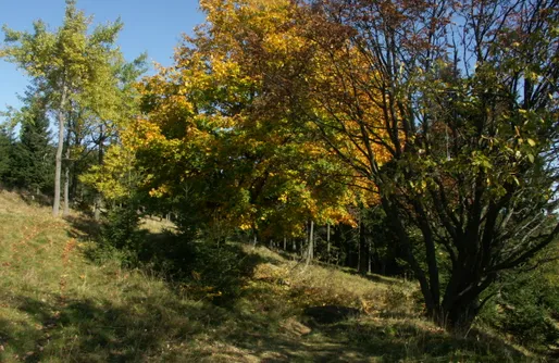 Zdjęcie obiektu Miejsce camperowe i namiotowe  w Górach Sowich
