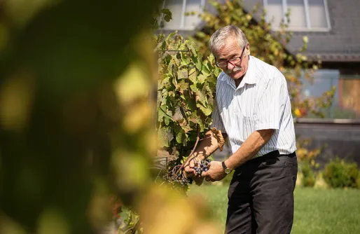 Zdjęcie obiektu Miejsce kamperowe i namiotowe - Winnica Dosłońce