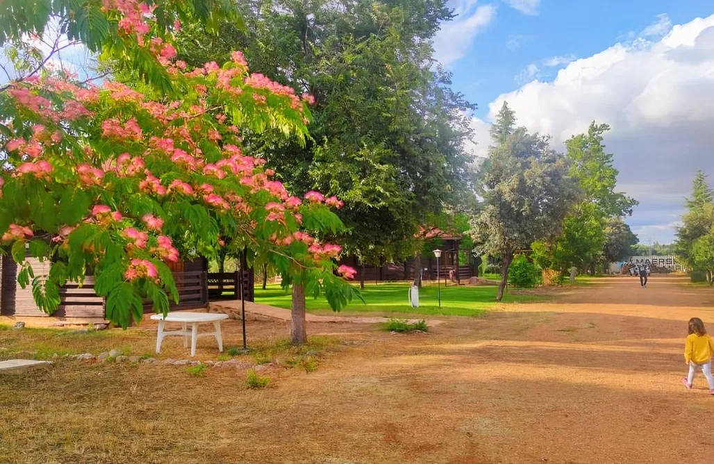 Hotel con Piscina Privada Madrid Cabaña en Castilla La Mancha para ocho personas 3