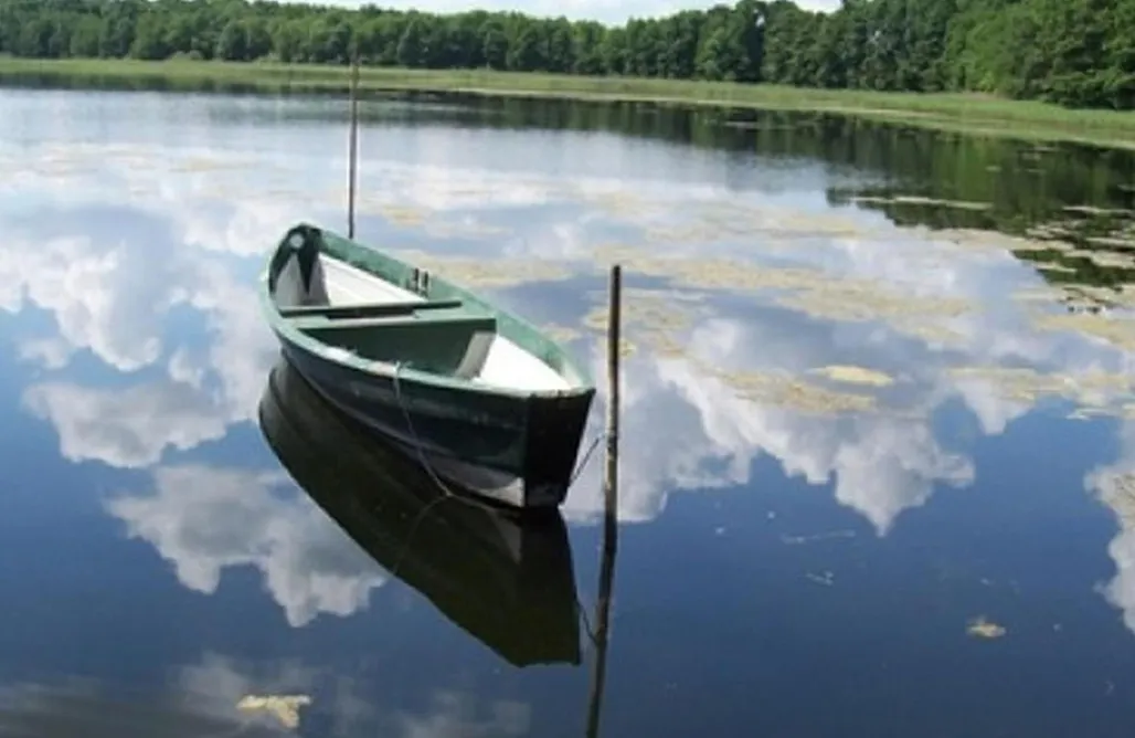 Ferienhaus direkt am Strand Ferienhaus am See mit Ruderboot 3