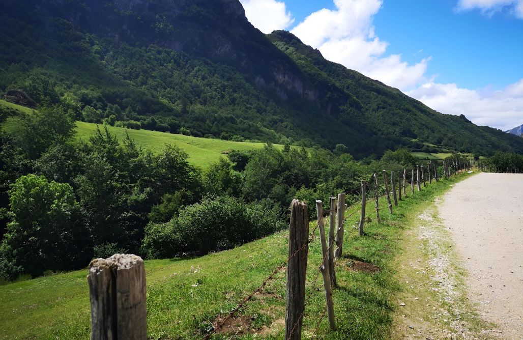 Alojamientos en Asturias La Plata - alojamiento rural 3