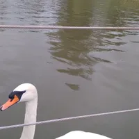 Edyta propietario Arka - domki na wodzie