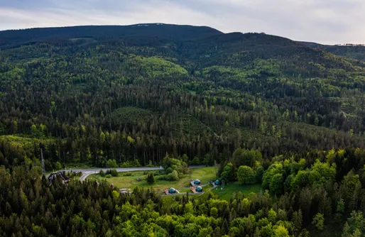 Zdjęcie obiektu Bunny Glamp