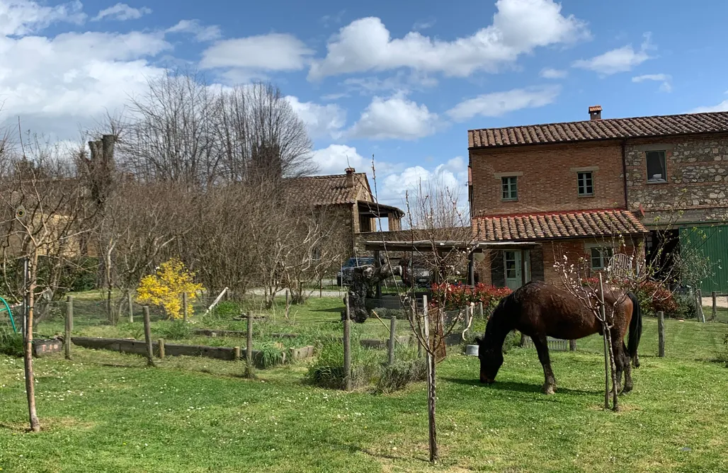 hebergement AlohaCamp Borgo Montefreddo 5